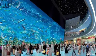 آکواریوم دبی